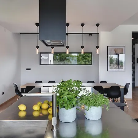 Aquarius فيلة بولا